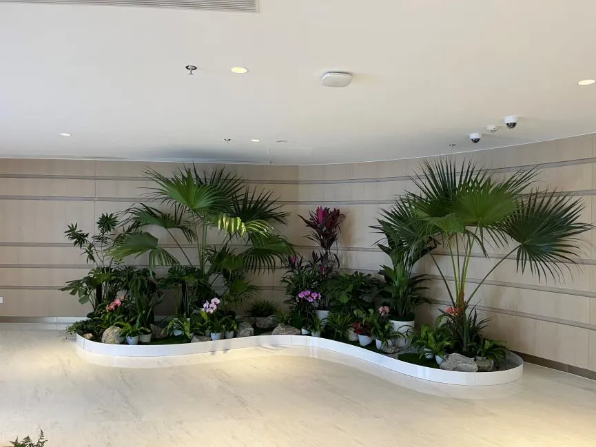 揭秘宁波江北花卉租摆方案，打造独特景观